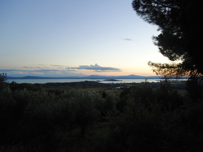 tosk2014-4356