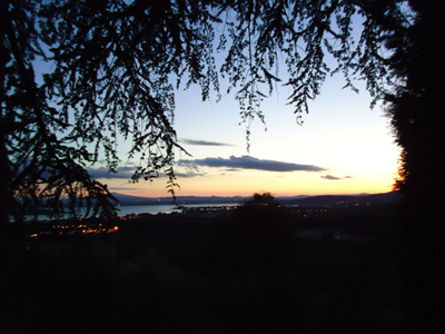 tosk2014-4365