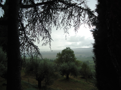 tosk2014-4395