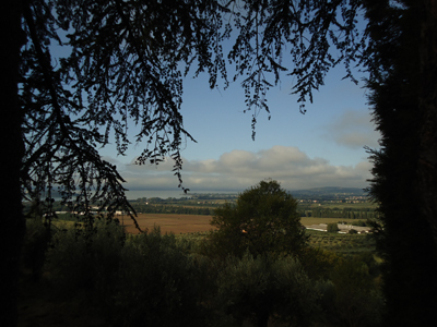 tosk2014-4424