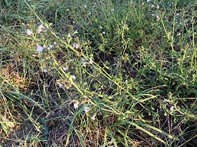 20150908_170321