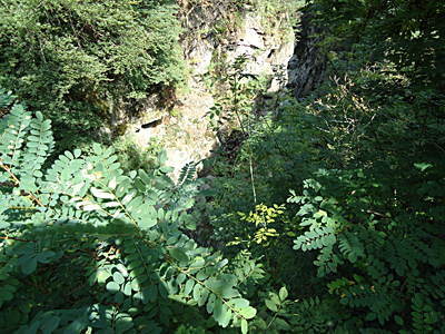 tosk2015-05144
