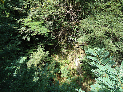 tosk2015-05145