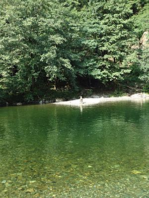 tosk2015-05153