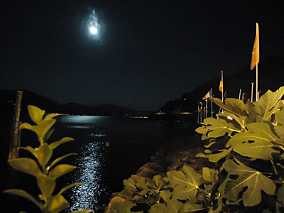 tosk2015-05215
