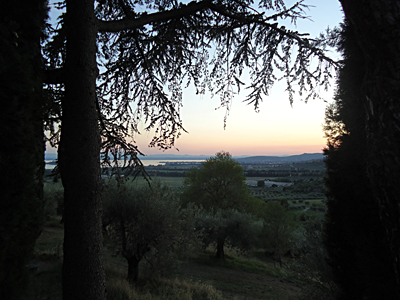 tosk2015-05228