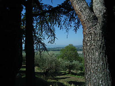 tosk2015-05243