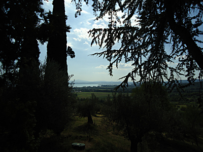 tosk2015-05244