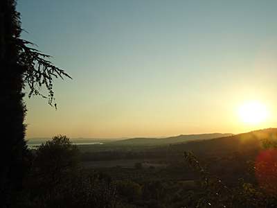 tosk2015-05257