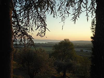tosk2015-05259