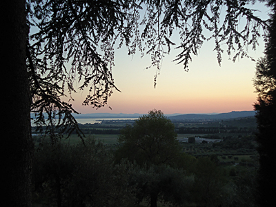 tosk2015-05265
