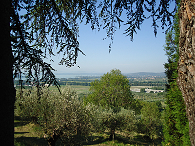tosk2015-05268