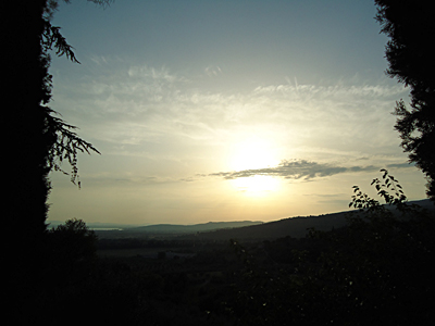 tosk2015-05274