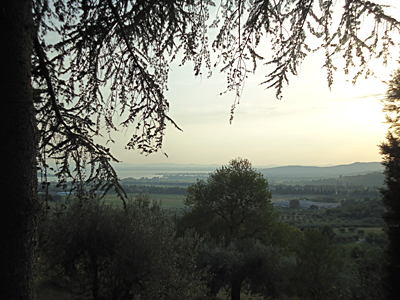 tosk2015-05275