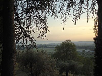 tosk2015-05281
