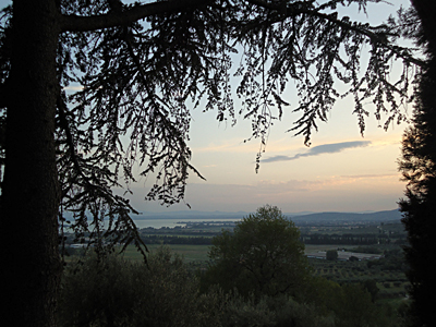 tosk2015-05285