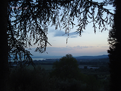 tosk2015-05290