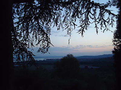 tosk2015-05292