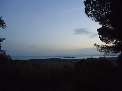 tosk2015-05294
