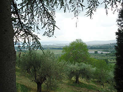 tosk2015-05299