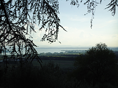 tosk2015-05313