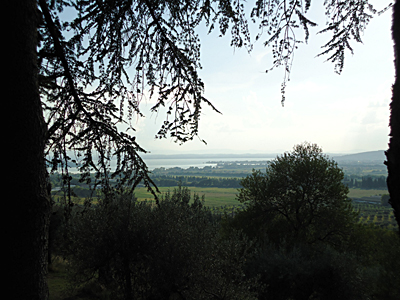 tosk2015-05314