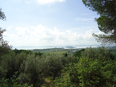 tosk2015-05358