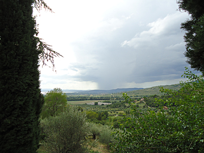 tosk2015-05361