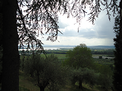tosk2015-05362
