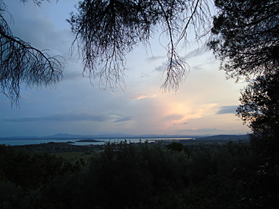 tosk2015-05382