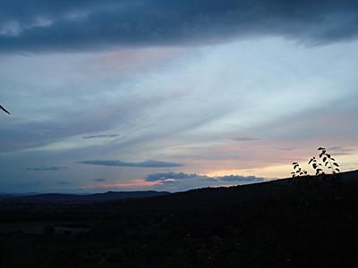 tosk2015-05387
