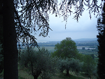 tosk2015-05391