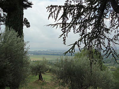 tosk2015-05392