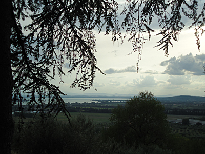 tosk2015-05396