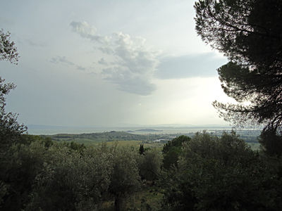 tosk2015-05397