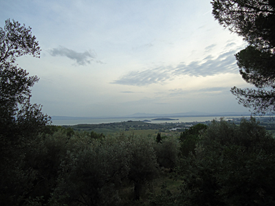 tosk2015-05404
