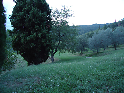 tosk2015-05405