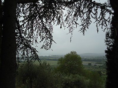 tosk2015-05410