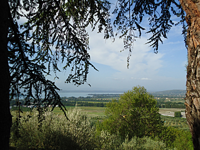tosk2015-05424