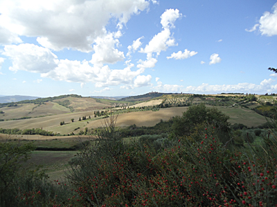 tosk2015-05427