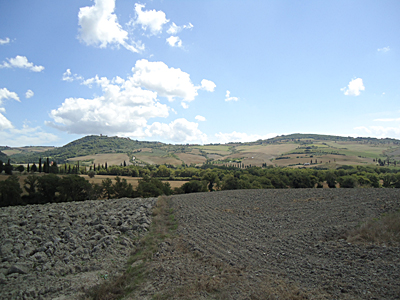 tosk2015-05429