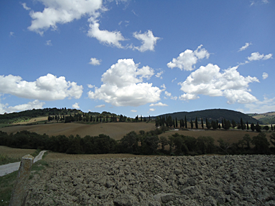 tosk2015-05430