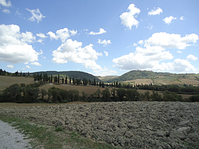 tosk2015-05435