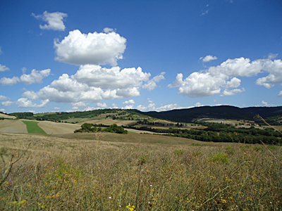 tosk2015-05437