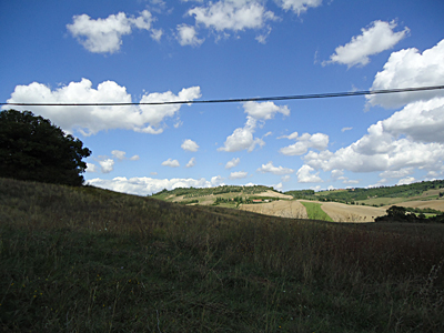 tosk2015-05441