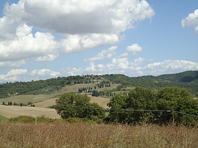 tosk2015-05442
