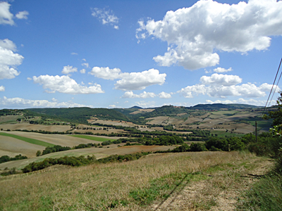 tosk2015-05446