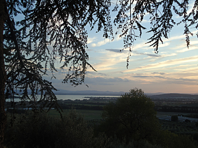 tosk2015-05482