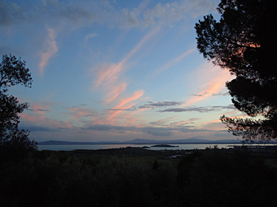 tosk2015-05486