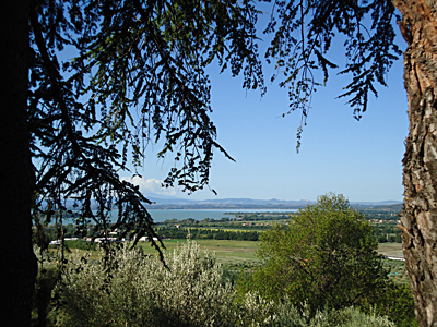 tosk2015-05493